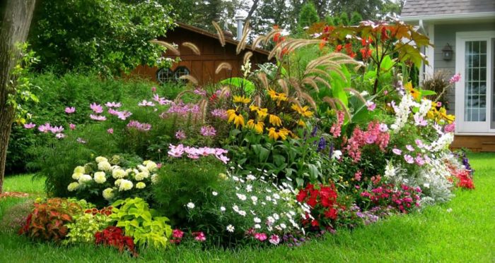 בקתת קיץ נקייה