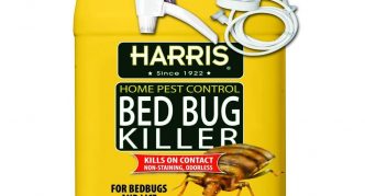 אבק קלופוברון