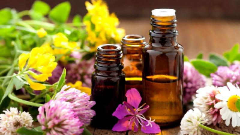 שמנים אתריים או יתושים: מי מנצח?