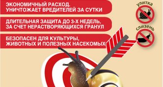 סטופוליטיס