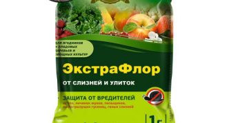 אקסטרהפלור