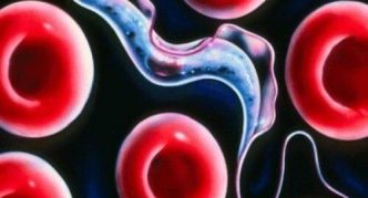 טריפנוזומה