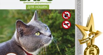 צווארון ברים