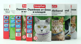 צווארון ביפאר