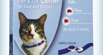 צווארון הרץ