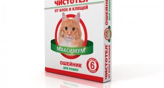 צווארון קלנדין