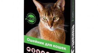 צווארון גמא