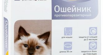 צווארון RolfClub