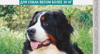 טיפות חטיפים לכלבים במשקל מעל 30 ק"ג