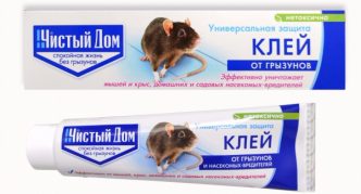 דבק לבית נקי