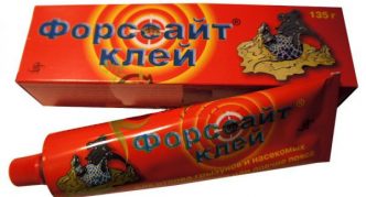 דבק פורסיית'