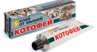 דבק קוטופיי