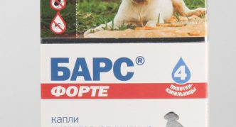 חטיפים פורטה לגורים