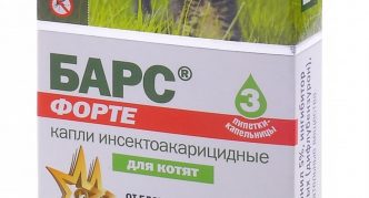 חטיפים פורטה לגורים