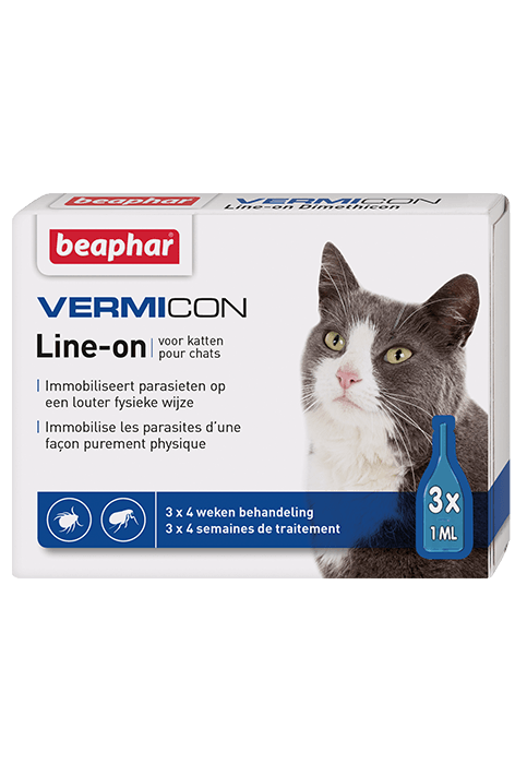 טיפות קו על מגן IMMO