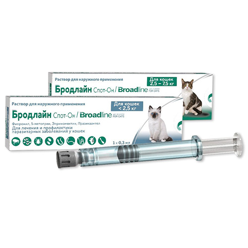 טיפות ספוט-און של ברודליין