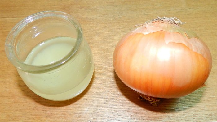 בצל ומיץ ממנו