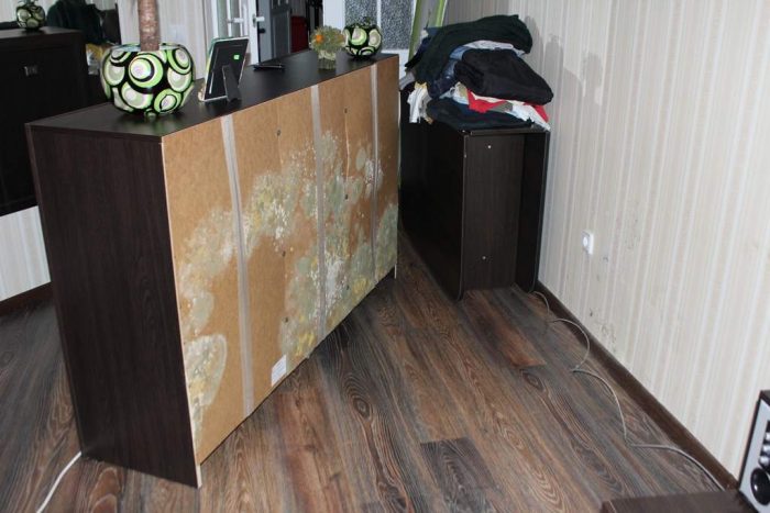 עובש על רהיטים