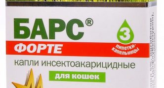 חטיפי פורטה לחתולים