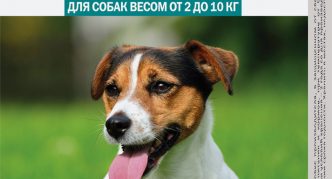 חטיפים וטיפות לכלבים במשקל 2 עד 10 ק"ג