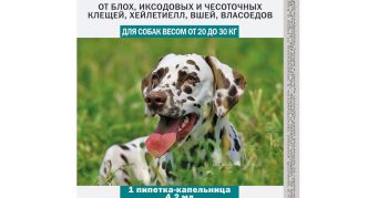 חטיפים וטיפות לכלבים במשקל 20 עד 30 ק"ג