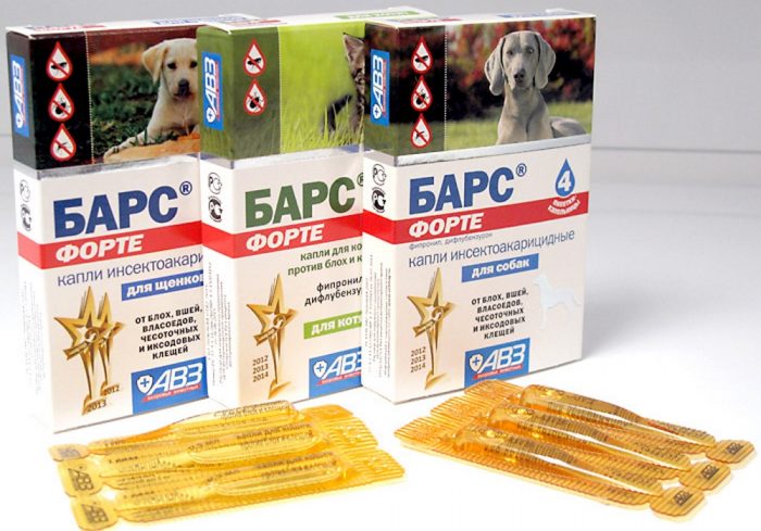 מוצרי חטיפים לגורים, גורים וכלבים