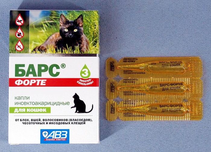 חבילה של טיפות וטפטפות של Bars