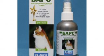 ספריי חטיפים לחתולים