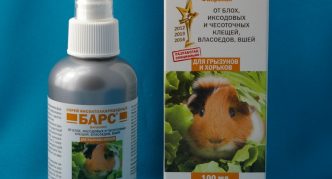 ריסוס ברים נגד מכרסמים