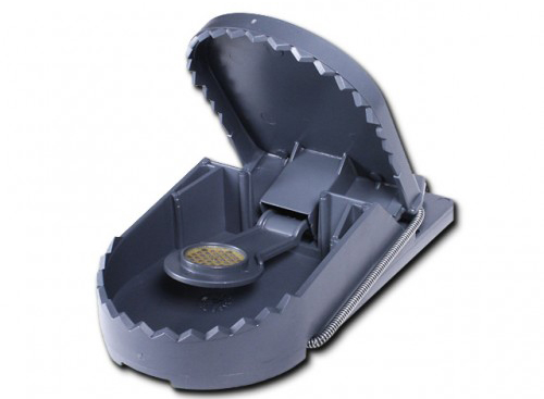 מלכודת חולדות