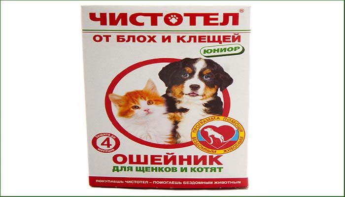 קולר של קלנדין נגד פרעושים וקרציות