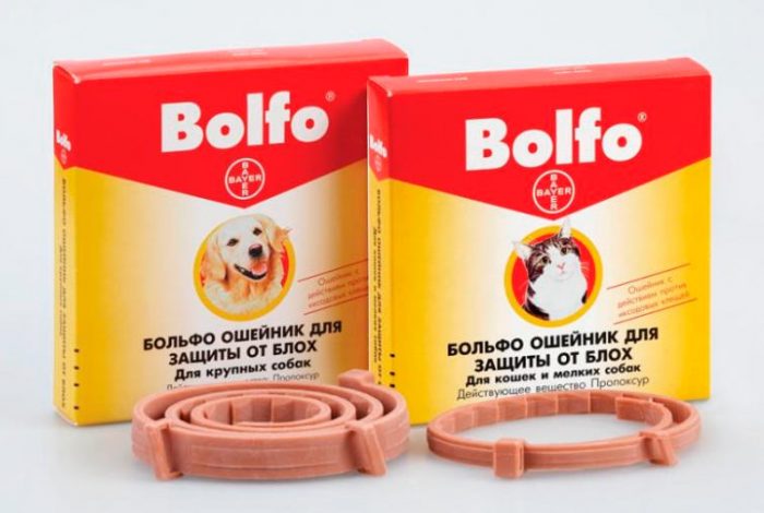 קולר פרעושים של בולפו