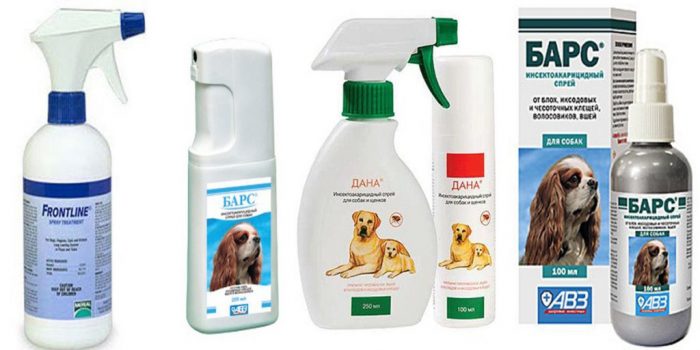 תרופות שונות לפרעושים