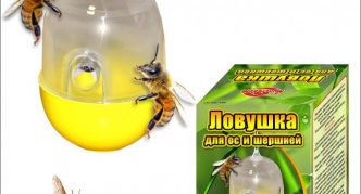 מלכודת פיתיון