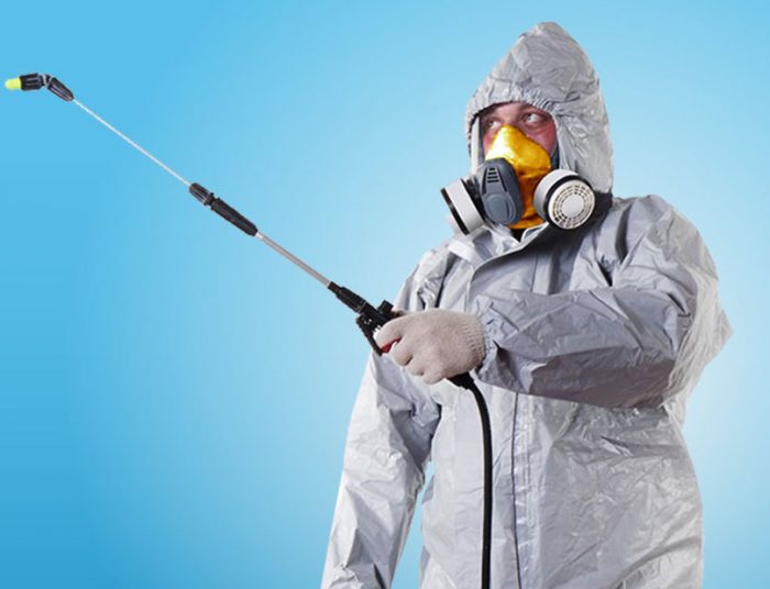 מומחה הדברה בעבודה