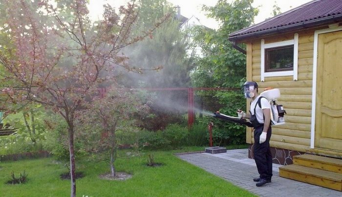 ריסוס תמיסה אקריצידית