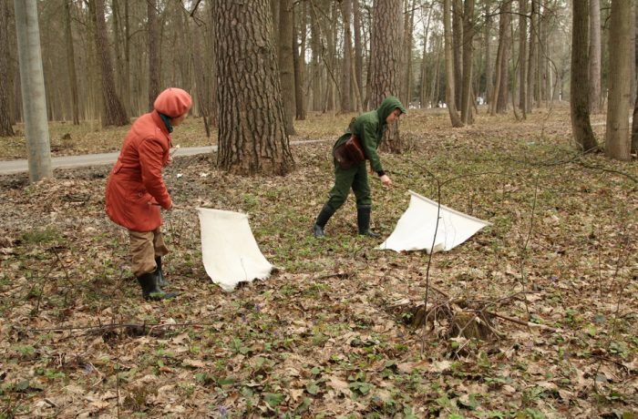 זיהוי אזור נגוע בקרציות