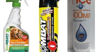 קוטל פרעושים וקרציות בבית