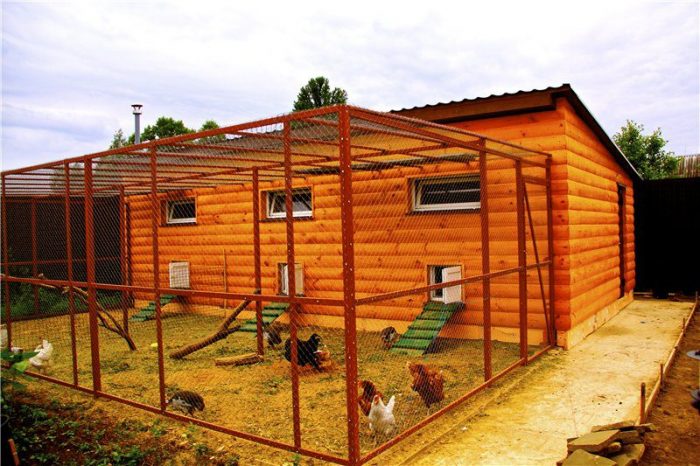 לול עץ עם רשת