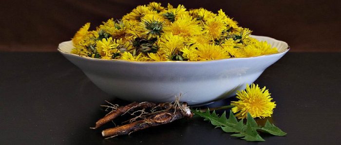 פרחי שן הארי בצלחת