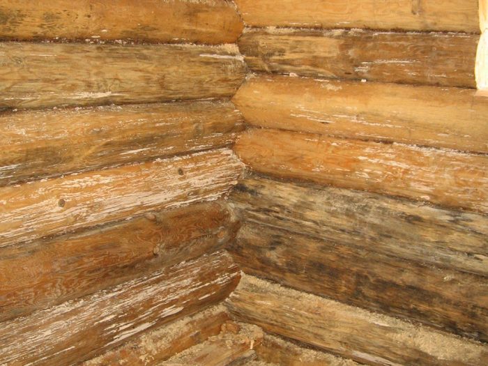 בית מרחץ ועובש