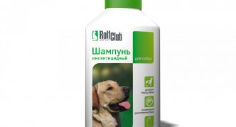 שמפו רולף קלאב