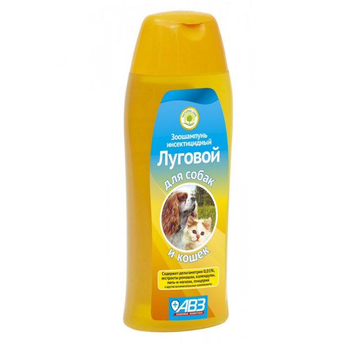 לכלבים וחתולים