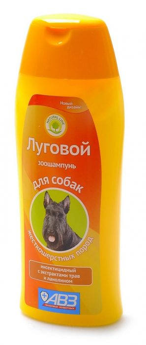 לכלבים בעלי שיער חוטי