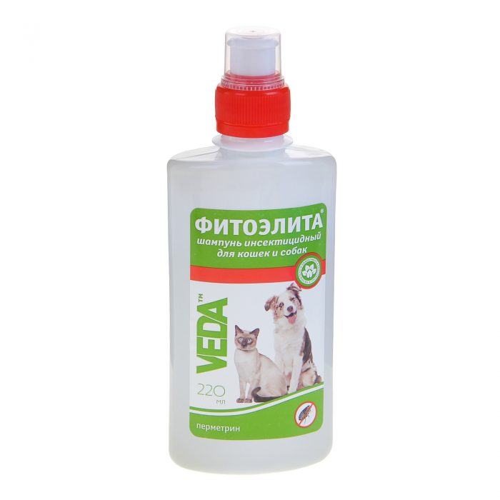 שמפו פיטואליטה