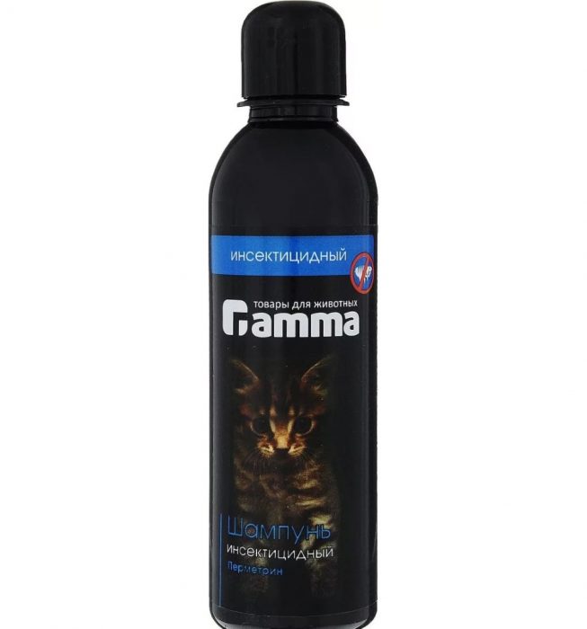 גמא לחתולים וחתלתולים