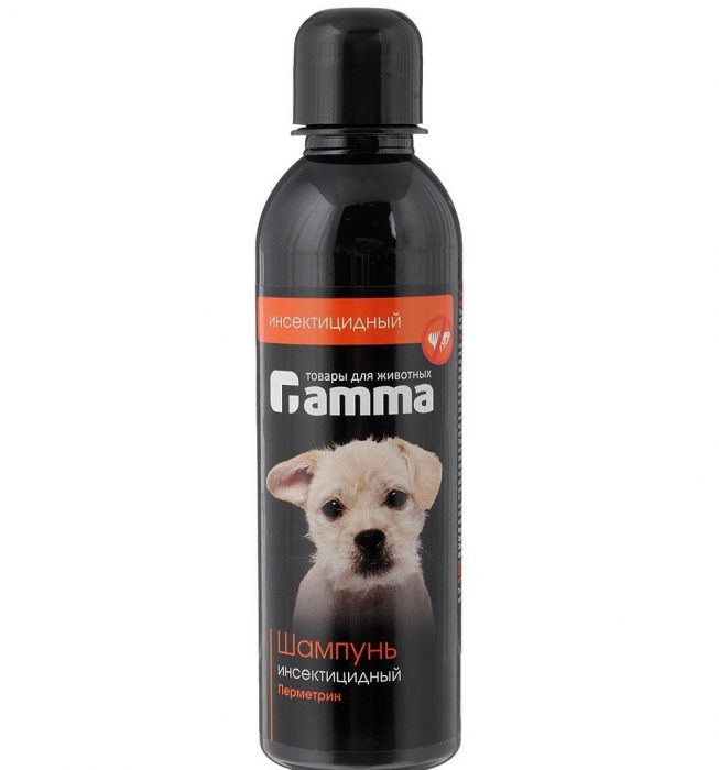 גמא לגורים ולכלבים