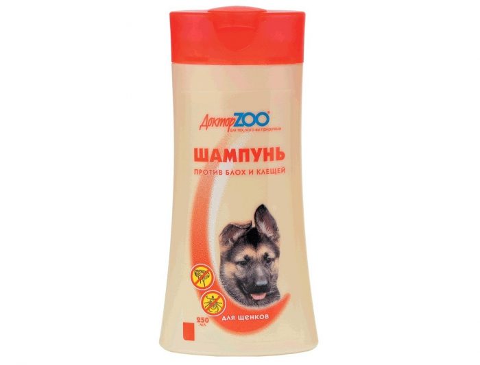 דוקטור גן חיות לגורים