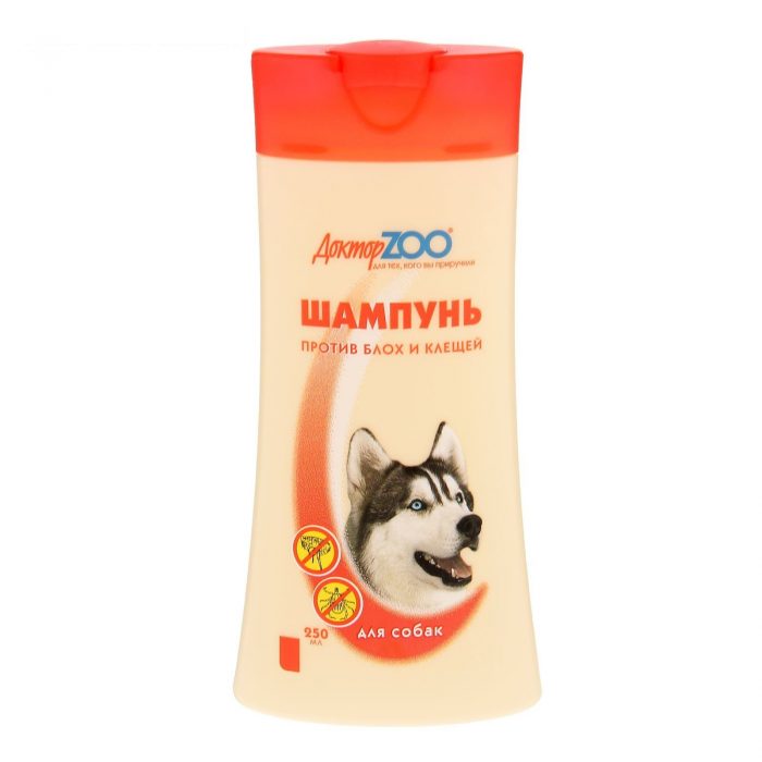 דוקטור גן חיות לכלבים