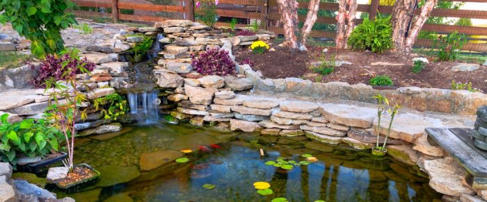 דאצ'ה עם בריכה